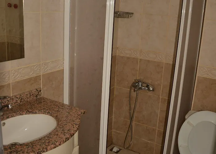 Elfida Alanya